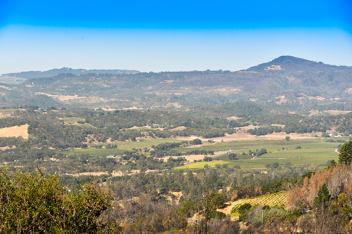 12305 Manzanita Lane, Glen Ellen Photo