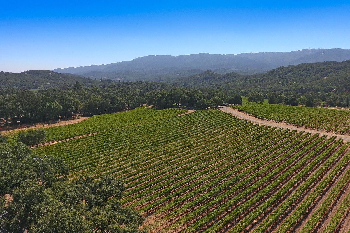 12640 Dunbar Road Image #557